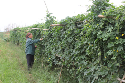 ສືບຕໍ່ຍົກສູງຄຸນນະພາບຂອງບັນດາສູນຮ່ຳຮຽນວົງຄະນະຍາດ